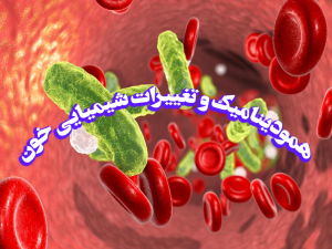 همودینامیک و تغییرات شیمیایی خون 300x225 - پاورپوینت همودینامیک و تغییرات شیمیایی خون