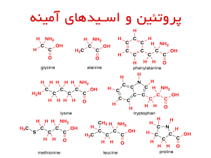 پروتئین و اسیدهای آمینه 300x225 - پاورپوینت پروتئین و اسیدهای آمینه