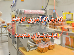 کارآموزی کارخانه تولید غذای منجمد 300x225 - گزارش کارآموزی کارخانه تولید غذای منجمد