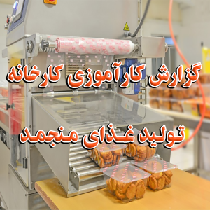 کارآموزی کارخانه تولید غذای منجمد 300x300 - سبد خرید