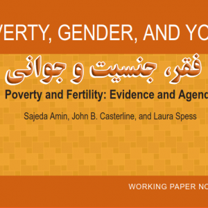 تحقیق ترجمه شده با عنوان فقر، جنسیت و جوانی