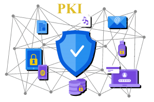 آشنایی با تجهیز و توسعه برنامه‌های کاربردی مبتنی بر PKI 300x199 - پاورپوینت آشنایی با تجهیز و توسعه برنامه‌های کاربردی مبتنی بر PKI