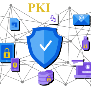 آشنایی با تجهیز و توسعه برنامه‌های کاربردی مبتنی بر PKI 300x300 - سبد خرید