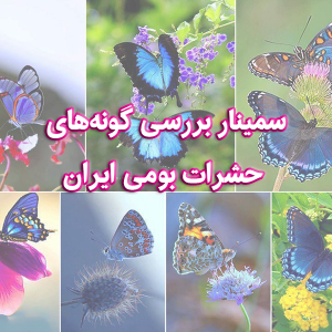 بررسی گونه‌‌های حشرات بومی ایران 300x300 - سبد خرید
