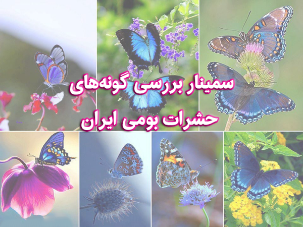 سمینار بررسی گونه‌‌های حشرات بومی ایران